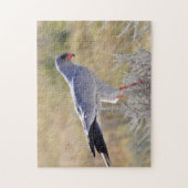 ナミビア《鳥》ハヤブサ。 ジグソーパズル (縦)