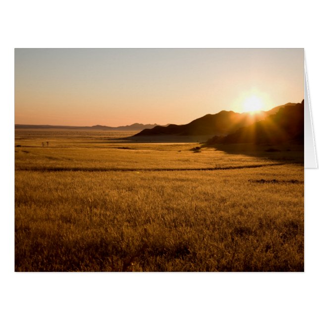 ナミブナークルフトパーク (正面横)