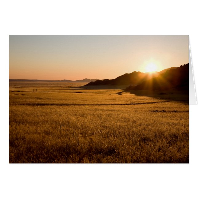 ナミブナークルフトパーク (正面横)