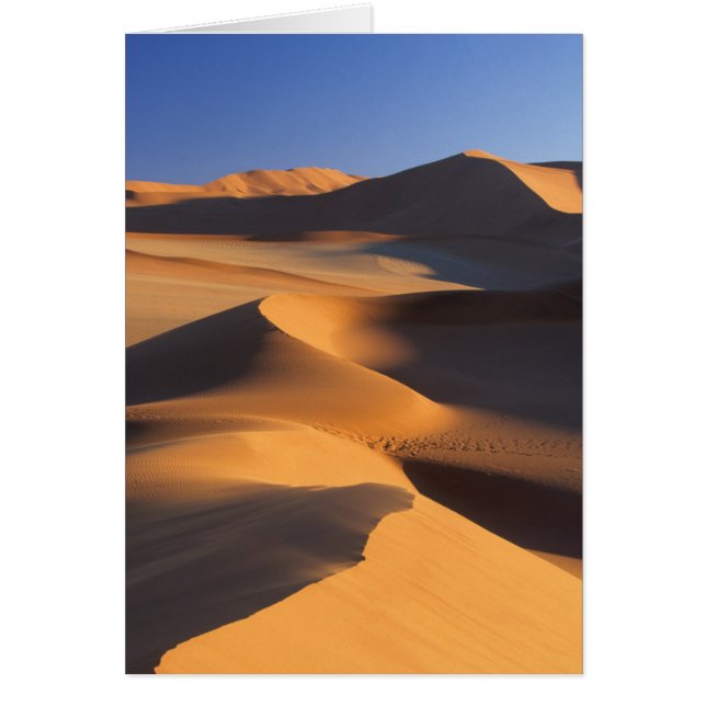 ナミブ·ナウクルフト·ソススブレイ·デザート·ダネス (正面)