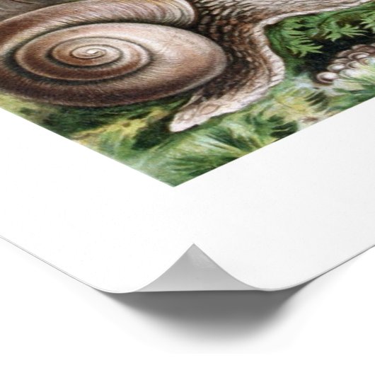 ナメクジ ポスター (角)