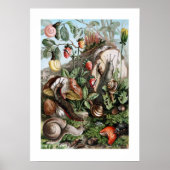 ナメクジ ポスター (正面)