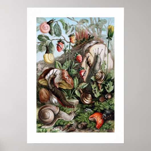 ナメクジ ポスター (正面)