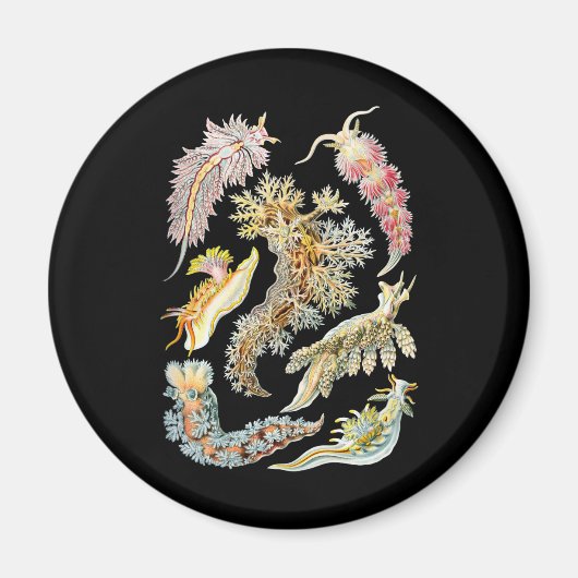 ナメクジ マグネット (正面)