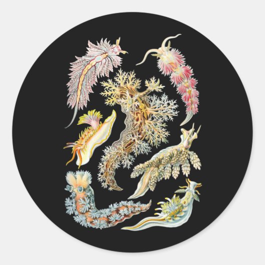 ナメクジ ラウンドシール (正面)