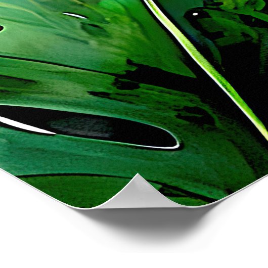 「ナヤリ」- ジャングルの蜃気楼 - アマゾンの女性たち ポスター (角)