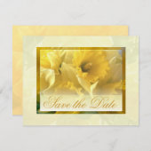 ナルシサスのお知らせ 招待状 (正面/裏面)