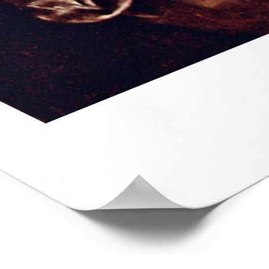 ナルシスバイミケランジェロメリシダカラヴァッジョ ポスター (角)