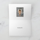 ナルニア・エンジェル・フレーム。 カード (内部)