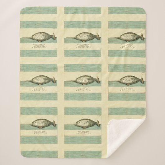 ナルファルアンティークホエールウォーター色科学アート シェルパブランケット (正面)