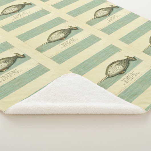 ナルファルアンティークホエールウォーター色科学アート シェルパブランケット (3/4)