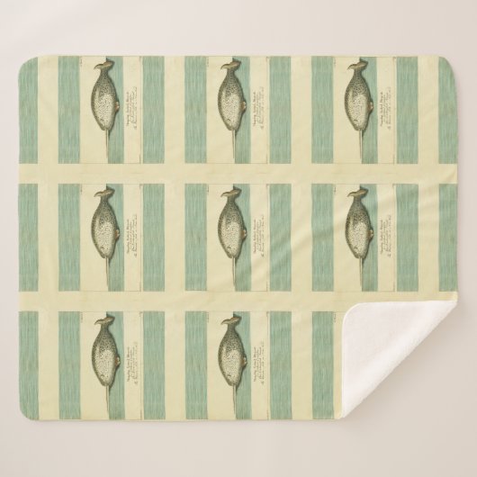 ナルファルアンティークホエールウォーター色科学アート シェルパブランケット (正面(横))