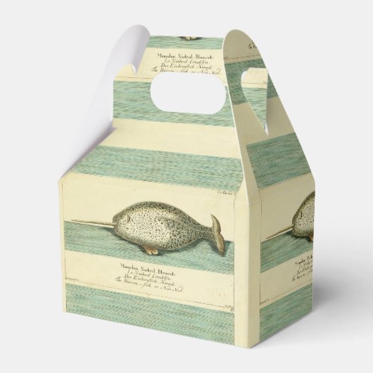 ナルファルアンティークホエールウォーター色科学アート フェイバーボックス (正面サイド)