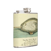 ナルファルアンティークホエールウォーター色科学アート フラスク (右)