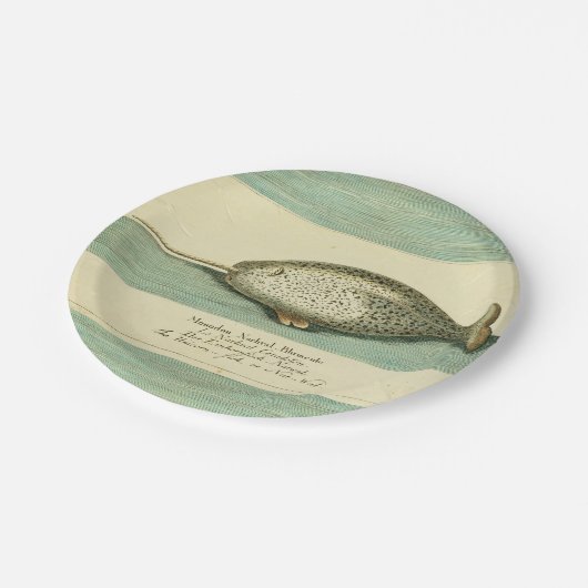 ナルファルアンティークホエールウォーター色科学アート ペーパープレート (アングル)