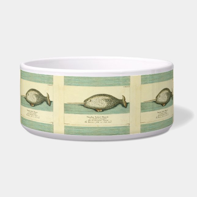 ナルファルアンティークホエールウォーター色科学アート ボウル (正面)