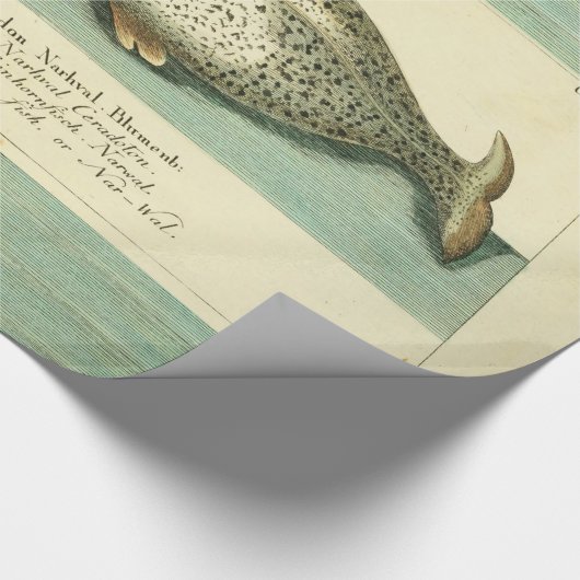 ナルファルアンティークホエールウォーター色科学アート ラッピングペーパー (角)