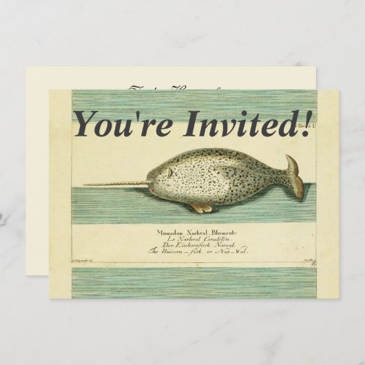 ナルファルアンティークホエールウォーター色科学アート 招待状 (正面/裏面)