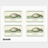 ナルファルアンティークホエールウォーター色科学アート 長方形シール (シート)