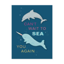 ナルファルドルフィンフレンズ