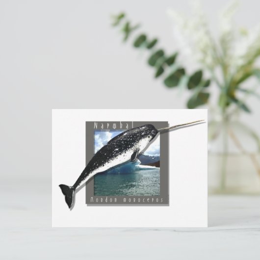 ナルファル ポストカード (スタンド正面)