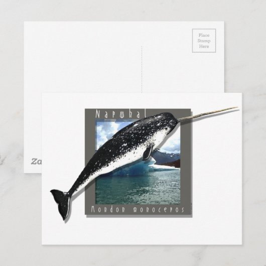 ナルファル ポストカード (正面/裏面)