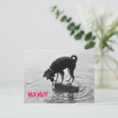 ナル・マット！ ポストカード (スタンド正面)