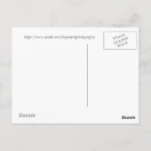 ナローズに沿って ポストカード (裏面)