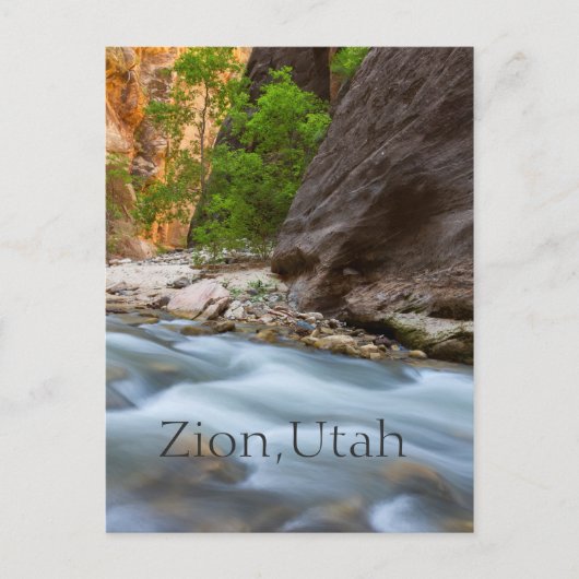 ナローズに沿って ポストカード (正面)