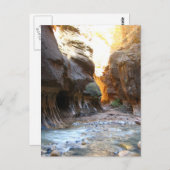 ナローズ ポストカード (正面/裏面)