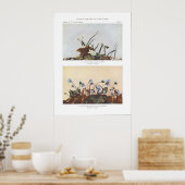 ナローリーブド春美しい- Claytonia virginica ポスター (キッチン)