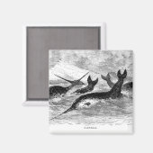 ナワーズ磁石 マグネット (正面/裏面)