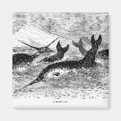 ナワーズ磁石 マグネット (正面)