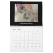 ナンの水彩画 カレンダー (1月 2027)