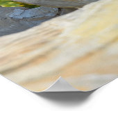 ナンシーの中央にスタニスラスを配置，フランス ポスター (角)