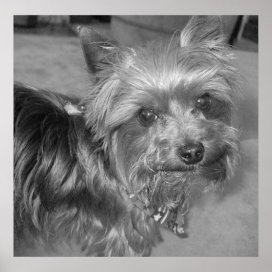 ナンセンスでないカップ ポスター (正面)