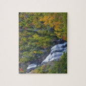 ナンタハラ滝のホワイトウォーター ジグソーパズル (縦)