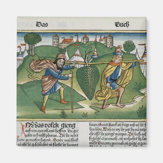 ナンバーズ13 23エショルの葡萄, 'ヌールから マグネット (正面)