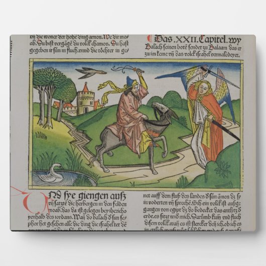 ナンバーズ22 20-35バラアムの話し言葉'N'から フォトプラーク (正面)