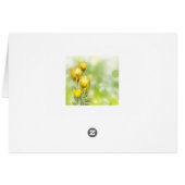 ナンバーズ6 24-26主よ賛美とあな保た (裏面横)