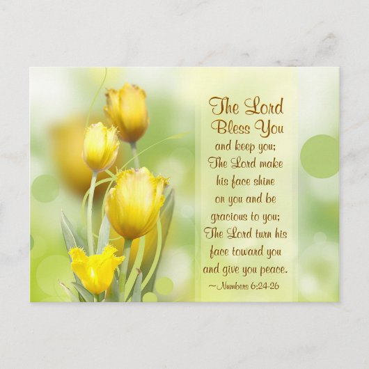 ナンバーズ6 24-26主よ賛美とあな保た ポストカード (正面)