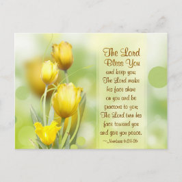 ナンバーズ6 24-26主よ賛美とあな保た ポストカード