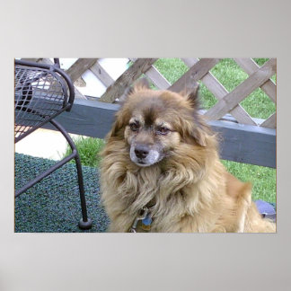 ナンバーワンソン ポスター