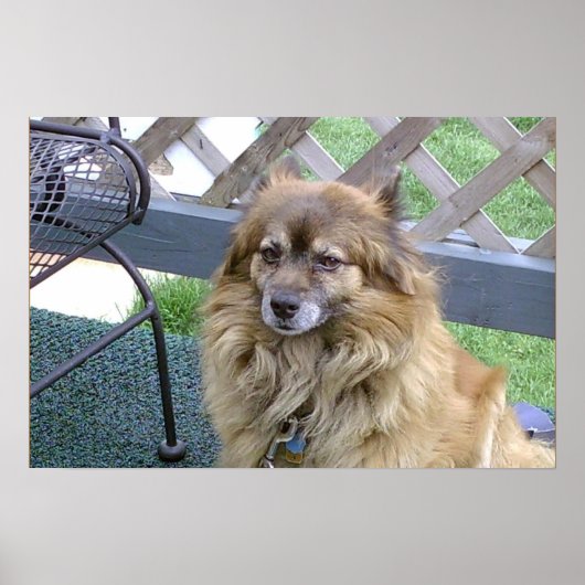 ナンバーワンソン ポスター (正面)