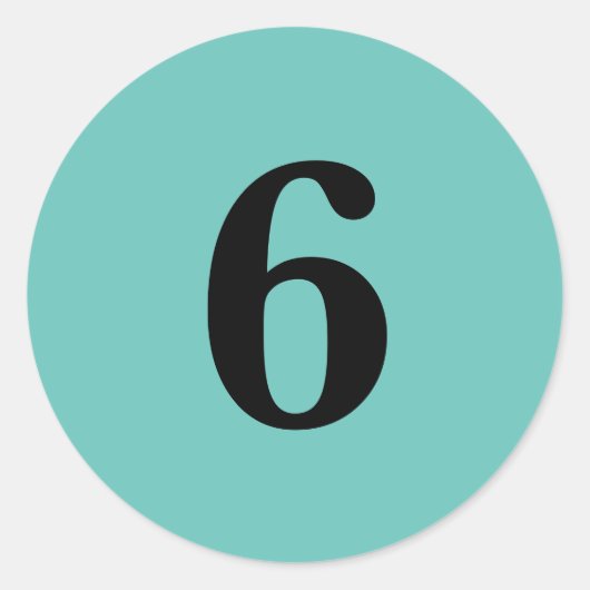 ナンバー6計画供給シンプル6アクアブラック ラウンドシール (正面)