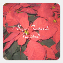 ナヴィダッドのアレガス・フィエタス スクエアシール