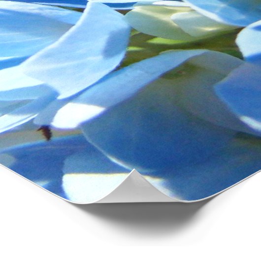 ナースウィークお祝いポスターブルーフローラ ポスター (角)