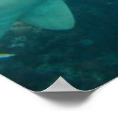 ナースサメ ポスター (角)