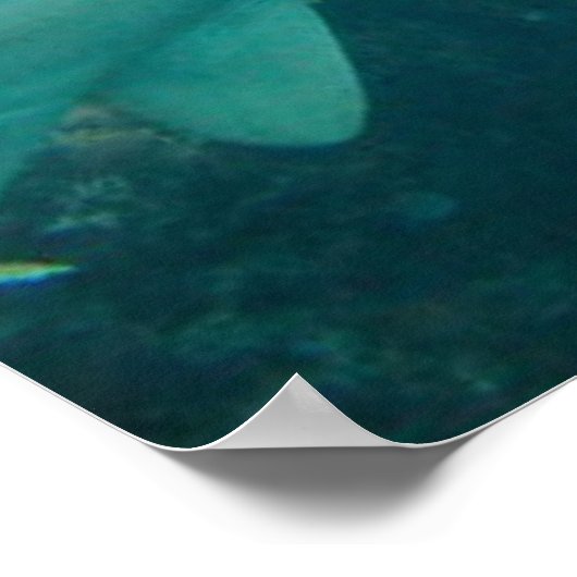 ナースサメ ポスター (角)