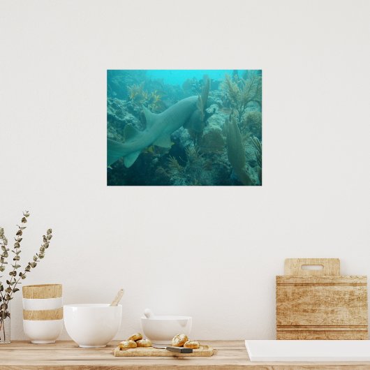 ナースサメ ポスター (キッチン)